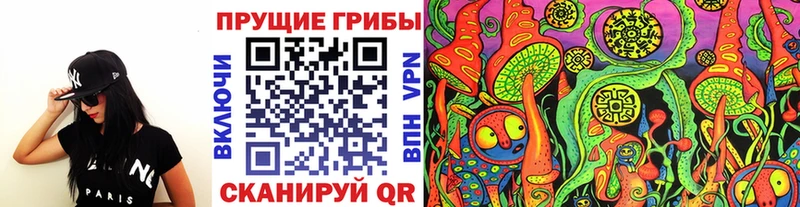 ссылка на мегу ТОР  Кизилюрт  Галлюциногенные грибы Psilocybe 