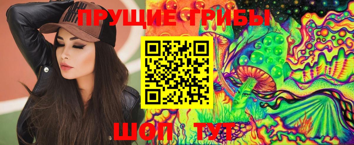 Кизилюрт  продажа наркотиков  Вход с VPN  Галлюциногенные грибы Psilocybine cubensis 