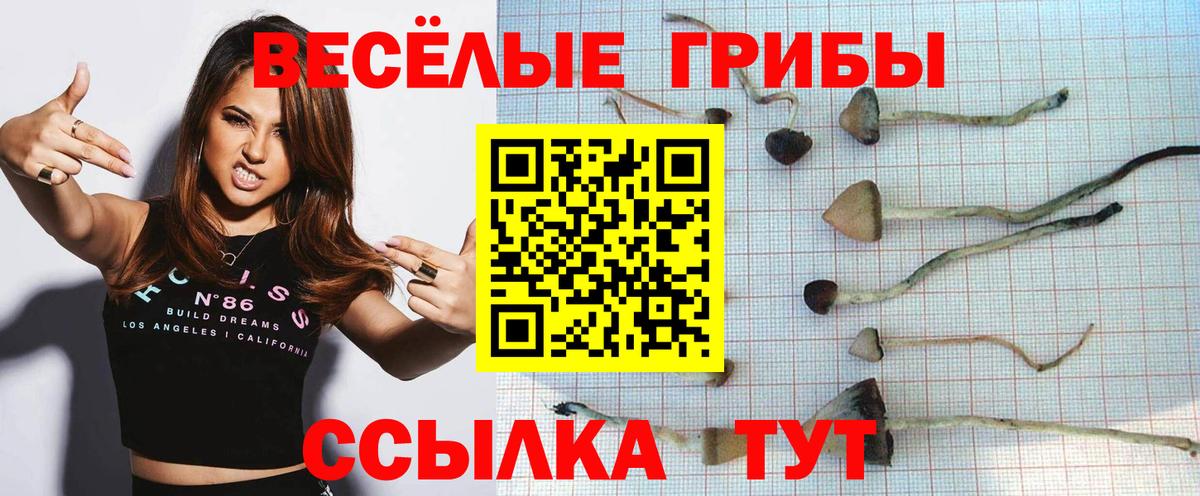 Галлюциногенные грибы Magic Shrooms Кизилюрт